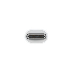 Apple USB-C VGA Multiport Adapter - Pixel Zones