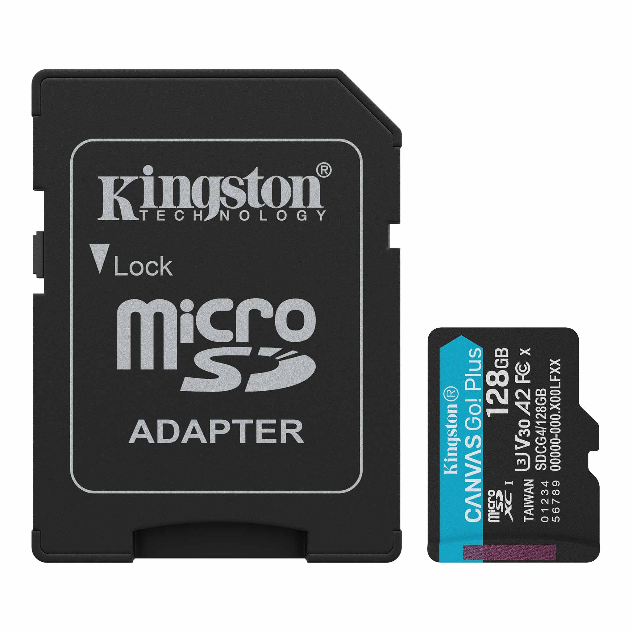 Kingston Canvas Go! Plus microSD Memory Card - SDCG4