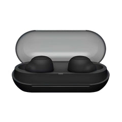 Sony WF-C500 Truly Wireless In-Ear Bluetooth Earbuds, IPX4 water resistance - Pixel Zones