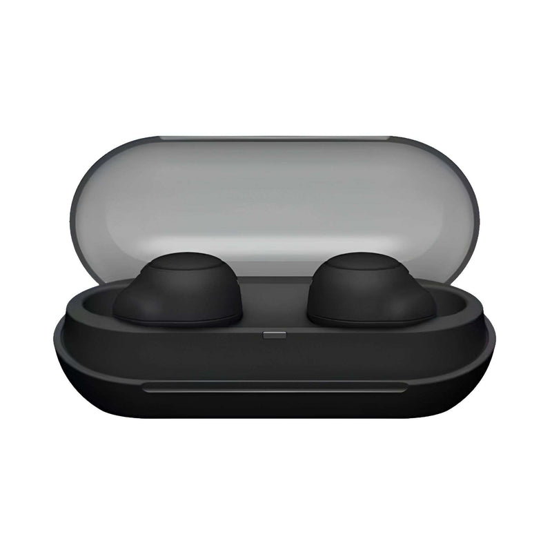 Sony WF-C500 Truly Wireless In-Ear Bluetooth Earbuds, IPX4 water resistance