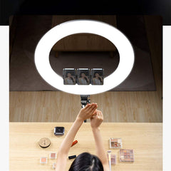 RTAKO AR-GTB01-18S 45cm Professional Ringlight 220 LEDs With 3 Phone Holders