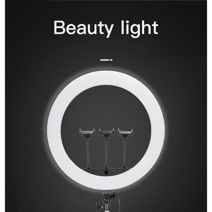 Jmary FM-21R 21" Ring Light - 160 Pieces