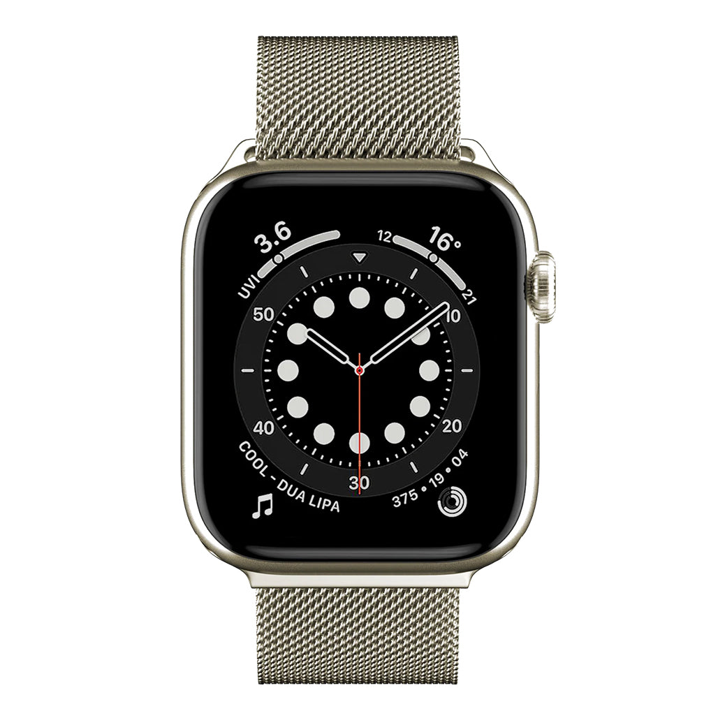 SwitchEasy Mesh 45mm Stainless Steel Loop for Apple Watch