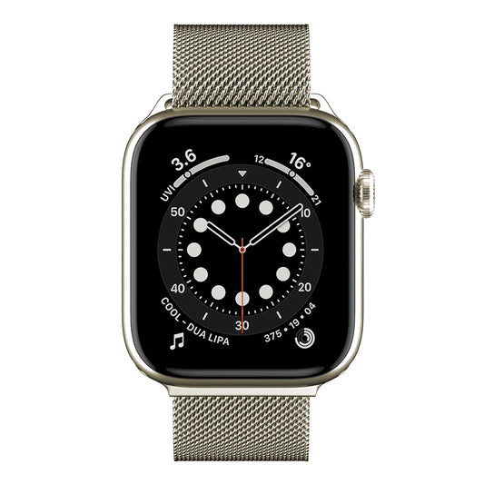 SwitchEasy Mesh 45mm Stainless Steel Loop for Apple Watch