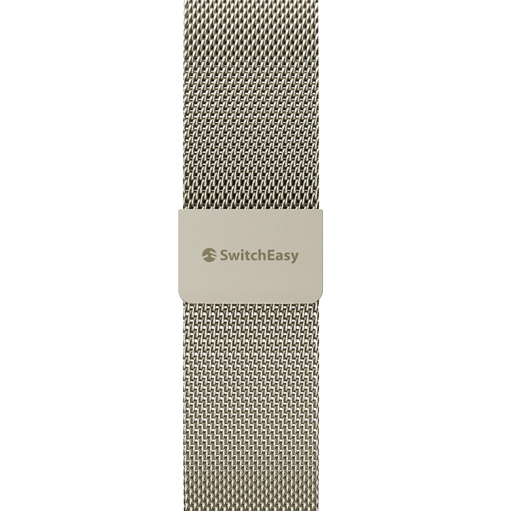 SwitchEasy Mesh 45mm Stainless Steel Loop for Apple Watch