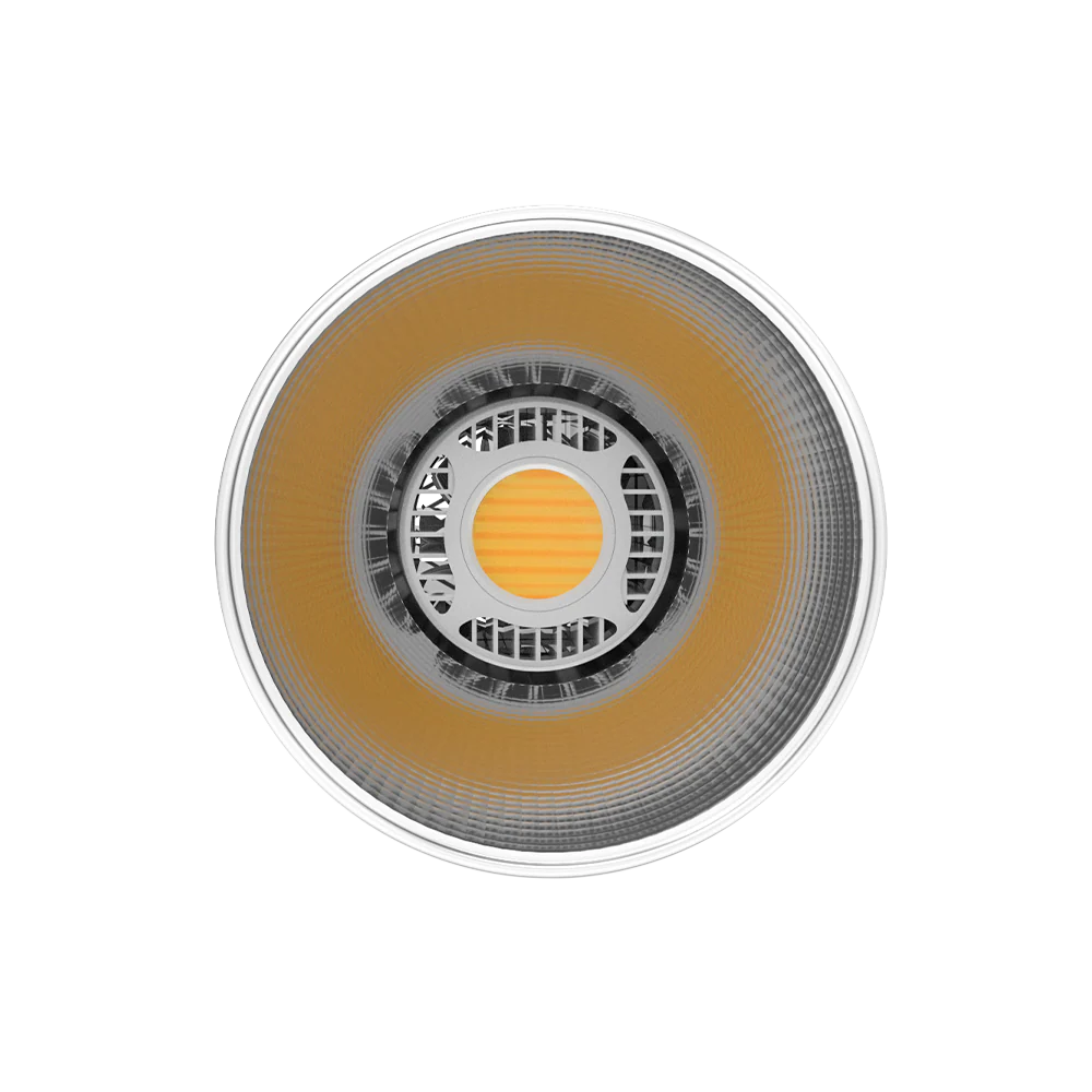 Amaran COB 60x S Bi-Color Bowens Mount LED Light