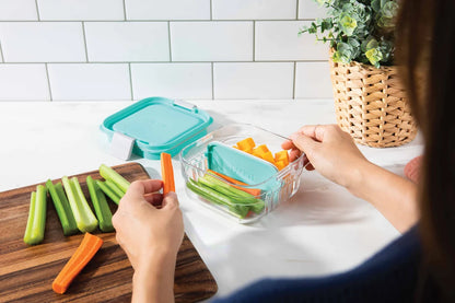 Packit MOD Bento Snack Container - Mint