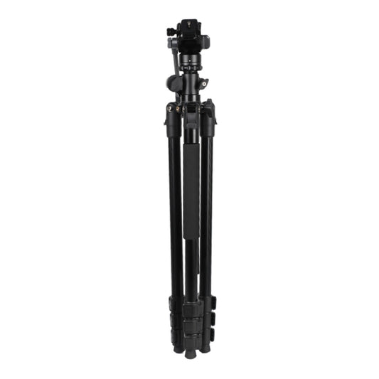 Jmary 2-in-1 Monopod & Horizontal Axis Tripod - KS355+HG60