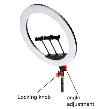 Jmary FM-21R 21" Ring Light - 160 Pieces