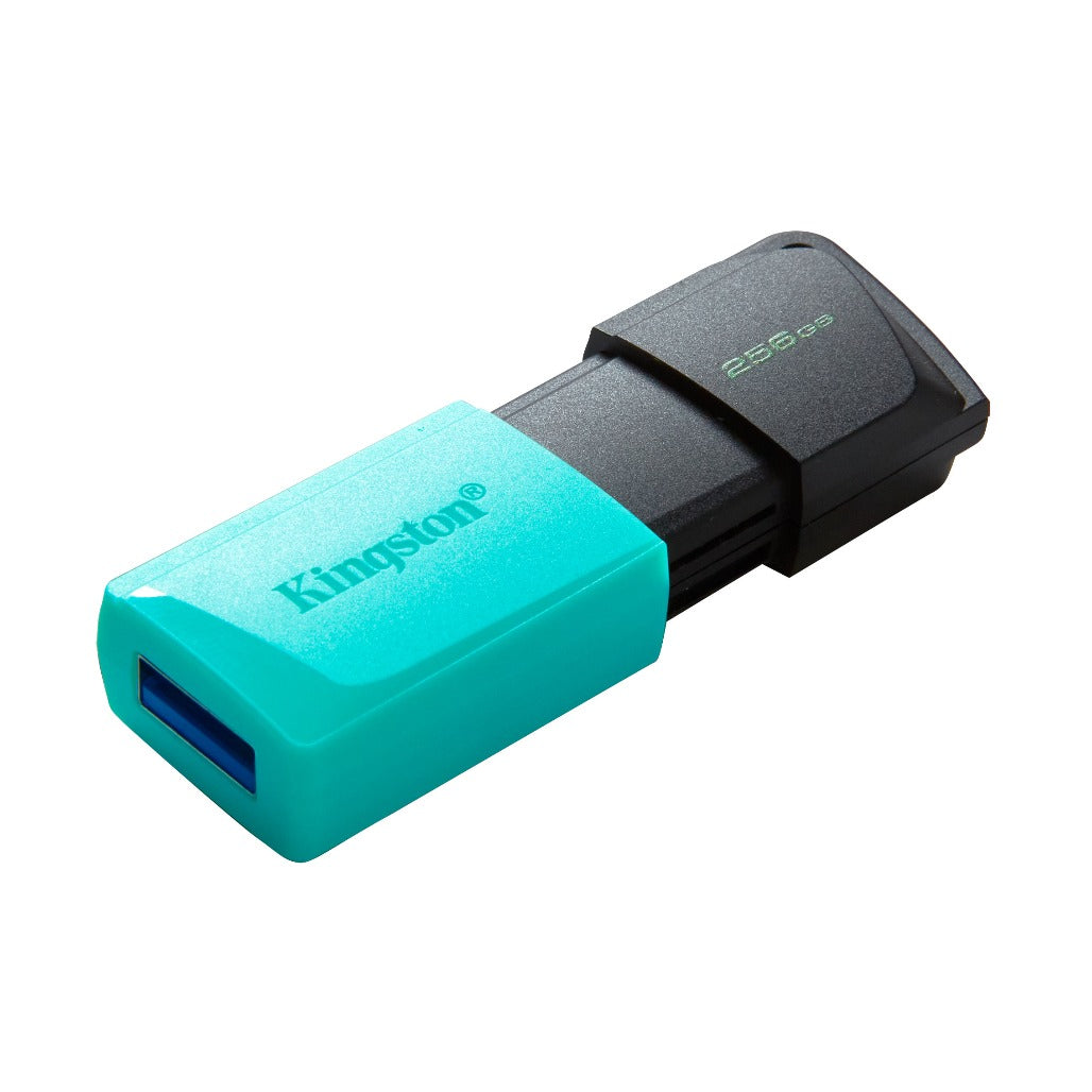 Kingston DataTraveler Exodia M USB Flash Drive - 256GB